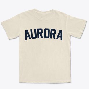 Aurora Ohio Classic Curve Premium Heavyweight T-shirt