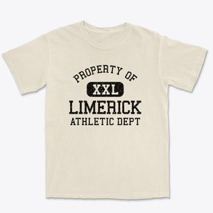 Limerick Maine Athletic Dept Premium Heavyweight T-shirt