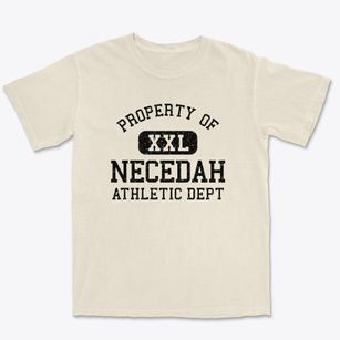Necedah Wisconsin Athletic Dept Premium Heavyweight T-shirt