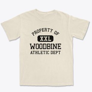 Woodbine Georgia Athletic Dept Premium Heavyweight T-shirt