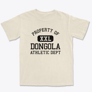 Dongola Illinois Athletic Dept Premium Heavyweight T-shirt
