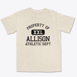 Allison Pennsylvania Athletic Dept Premium Heavyweight T-shirt