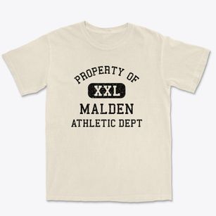 Malden Illinois Athletic Dept Premium Heavyweight T-shirt