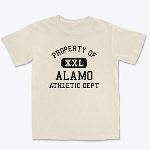 Alamo North Dakota Athletic Dept Premium Heavyweight T-shirt