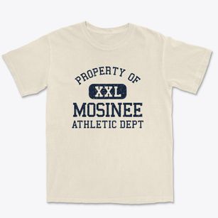 Mosinee Wisconsin Athletic Dept Premium Heavyweight T-shirt