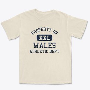 Wales Massachusetts Athletic Dept Premium Heavyweight T-shirt