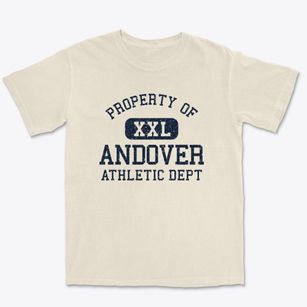 Andover New Jersey Athletic Dept Premium Heavyweight T-shirt