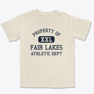 Fair Lakes Virginia Athletic Dept Premium Heavyweight T-shirt