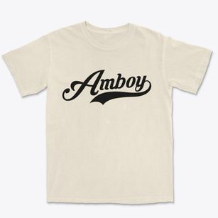 Amboy New York Vintage Team Premium Heavyweight T-shirt