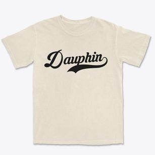 Dauphin Pennsylvania Vintage Team Premium Heavyweight T-shirt