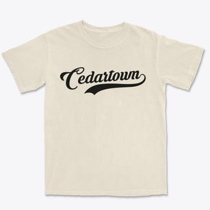 Cedartown Georgia Vintage Team Premium Heavyweight T-shirt