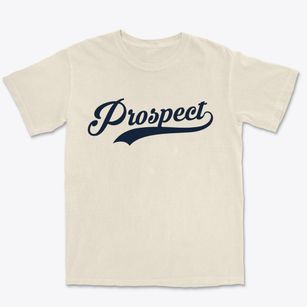 Prospect Kentucky Vintage Team Premium Heavyweight T-shirt