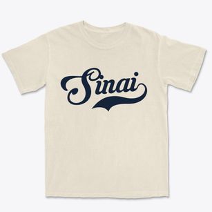 Sinai South Dakota Vintage Team Premium Heavyweight T-shirt