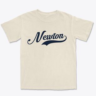 Newton North Carolina Vintage Team Premium Heavyweight T-shirt