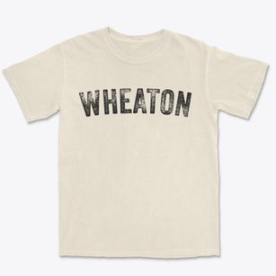 Wheaton Illinois Timeless Retro Premium Heavyweight T-shirt