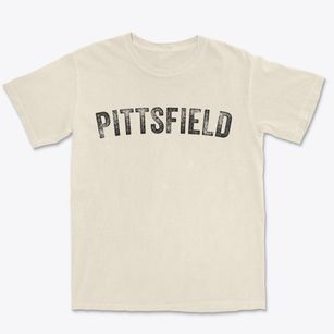 Pittsfield New Hampshire Timeless Retro Premium Heavyweight T-shirt
