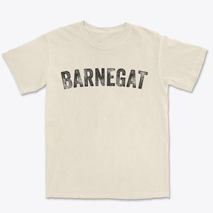 Barnegat New Jersey Timeless Retro Premium Heavyweight T-shirt