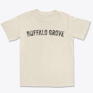 Buffalo Grove Illinois Timeless Retro Premium Heavyweight T-shirt