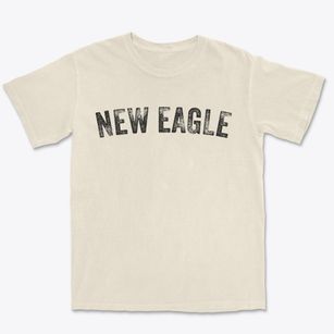 New Eagle Pennsylvania Timeless Retro Premium Heavyweight T-shirt