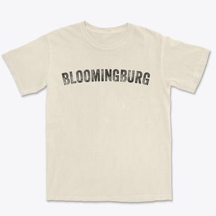 Bloomingburg Ohio Timeless Retro Premium Heavyweight T-shirt