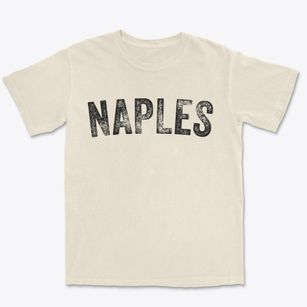 Naples Florida Timeless Retro Premium Heavyweight T-shirt