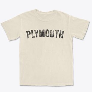 Plymouth Vermont Timeless Retro Premium Heavyweight T-shirt