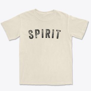 Spirit Wisconsin Timeless Retro Premium Heavyweight T-shirt