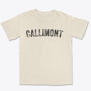 Callimont Pennsylvania Timeless Retro Premium Heavyweight T-shirt