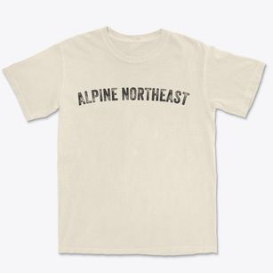 Alpine Northeast Wyoming Timeless Retro Premium Heavyweight T-shirt