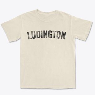 Ludington Michigan Timeless Retro Premium Heavyweight T-shirt