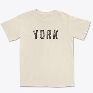 York South Carolina Timeless Retro Premium Heavyweight T-shirt