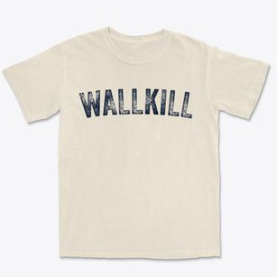 Wallkill New York Timeless Retro Premium Heavyweight T-shirt