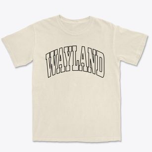 Wayland Michigan Trendy Block Premium Heavyweight T-shirt