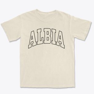 Albia Iowa Trendy Block Premium Heavyweight T-shirt