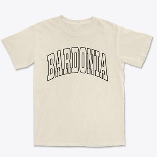 Bardonia New York Trendy Block Premium Heavyweight T-shirt