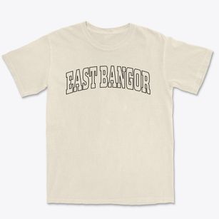 East Bangor Pennsylvania Trendy Block Premium Heavyweight T-shirt