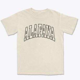 Alafaya Florida Trendy Block Premium Heavyweight T-shirt