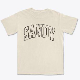 Sandy Oregon Trendy Block Premium Heavyweight T-shirt