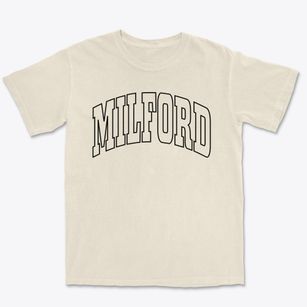 Milford Delaware Trendy Block Premium Heavyweight T-shirt