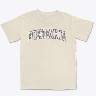 Poestenkill New York Trendy Block Premium Heavyweight T-shirt