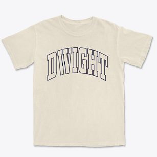 Dwight Illinois Trendy Block Premium Heavyweight T-shirt