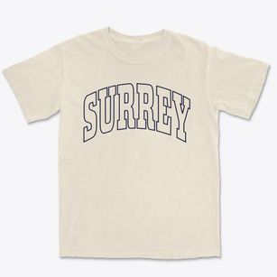 Surrey North Dakota Trendy Block Premium Heavyweight T-shirt