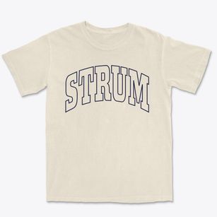 Strum Wisconsin Trendy Block Premium Heavyweight T-shirt