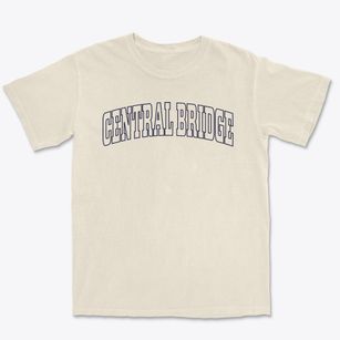 Central Bridge New York Trendy Block Premium Heavyweight T-shirt