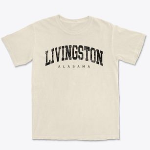 Livingston Alabama Urban Vibe Premium Heavyweight T-shirt