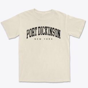 Port Dickinson New York Urban Vibe Premium Heavyweight T-shirt