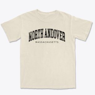 North Andover Massachusetts Urban Vibe Premium Heavyweight T-shirt