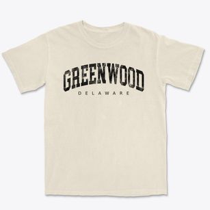 Greenwood Delaware Urban Vibe Premium Heavyweight T-shirt