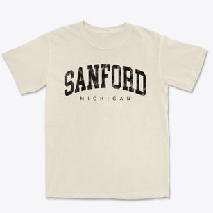 Sanford Michigan Urban Vibe Premium Heavyweight T-shirt
