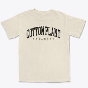 Cotton Plant Arkansas Urban Vibe Premium Heavyweight T-shirt